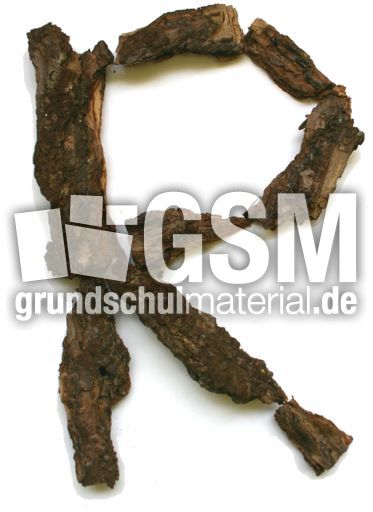 R-wie-Rinde.jpg